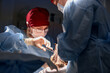 © Georgii - Medical professionals performing a detailed surgical procedure in a clinical setting