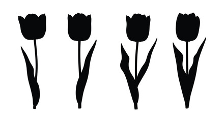 Wall Mural - four black tulip silhouettes standing tall against white background