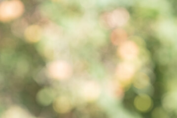 Wall Mural - Defocus lights green natural. Bokeh. Blurred leaves.