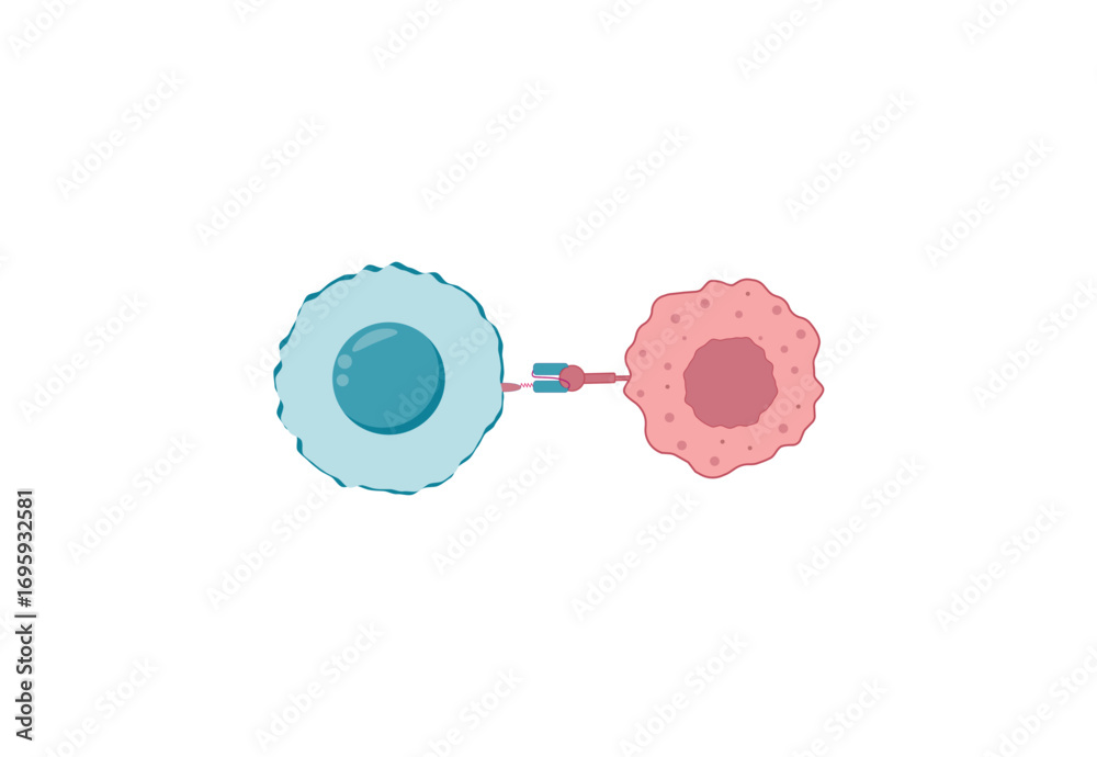 CAR T-cell therapy, killing of tumor cells. Chimeric antigen receptor T ...