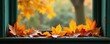 © Lawan - Fallen leaves on weathered window sill, ready for display, yellow, home, window sill