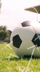 Wall Mural - Animation of game plans over caucasian football player at stadium