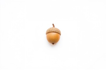 single acorns on a white background, autumn nature elements with yellow leaves and tree fruits