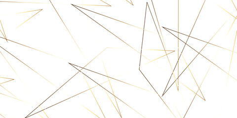 Wall Mural - Triangular 3d, modern background Modern geometrical dynamic and seamless abstract white background. Random chaotic lines abstract geometric pattern. .graphic background dots with connections for your