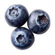 © alkaios - Three blueberries clustered, top view