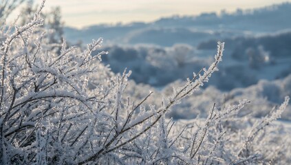 Wall Mural - Icy Branches Sparkling in the Early Frost, Magical Snowy Scene