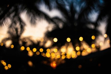 Wall Mural - soft glowing bokeh and yellow string lights decorate a tropical outdoor dining area at dusk with pal