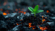 © Modern Lifestyle  - Wildfire aftermath in abandoned town hope emerges as green plant grows from blackened soil glowing with resilience and renewal
