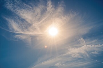 Wall Mural - Background featuring a clear blue sky