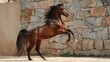 © Yuliia - Majestic bay stallion rearing against stone wall background, displaying power and grace in dynamic motion, mane flowing in sunlight, dramatic equestrian scene.