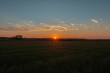 Wall Mural - authentic sunset: a serene dawn above a natural meadow with vivid sky and shadowed earth