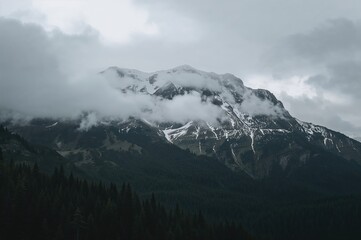 Wall Mural - a towering snow-laden peak surrounded by dense, shadowy woodland and misty low clouds in a bleak mou
