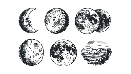 Wall Mural - Pencil sketch collection of crescent and full moon phases on transparent background. Vector hand drawn illustration
