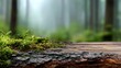 © Irina Sharnina - Flat horizontal wooden blank surface covered with moss and bark highlights the natural texture and earthy tones of the forest. Nature background, organic product display