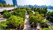 © aguero - A rooftop garden with various trees and plants, showcasing urban landscaping and green spaces in the city.
