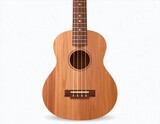 Wooden ukulele, front view