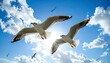 © Junics - Seagulls soaring in a bright sky