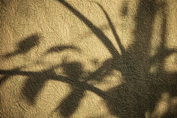 Wall Mural - abstract shadow of the tree on the cement wall, background texture