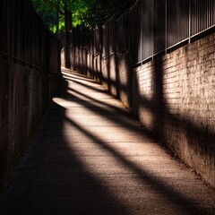 Canvas Print - Serene pathway illuminated by sunlight, flanked by shadowy walls, inviting exploration in nature
