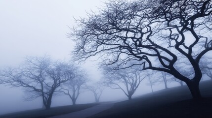 Canvas Print - Serene foggy landscape with bare trees silhouetted against a misty background, evoking tranquility