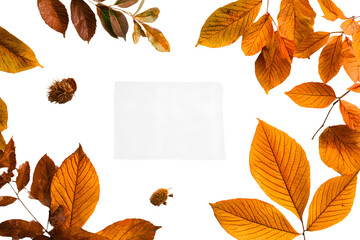 Poster - Autumn composition. Frame made of blank paper and leves on white background. Fll concept. Autumn thanksgving texture. Flat lay, to view, copy space