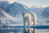 Polar bear standing on ice in the arctic