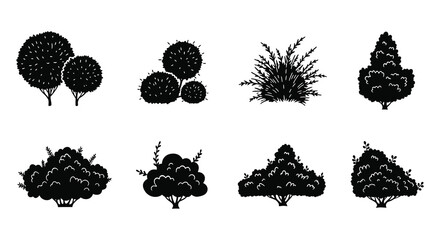 various types of trees and bushes illustrated in black and white