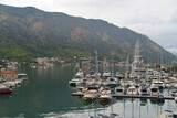 boats in the harbour of kotor