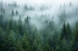 © PlanetOfVectors - Lush coniferous forest with tall evergreen trees shrouded in thick morning fog, in a soft creative style on a misty atmospheric background. Ai generative