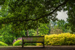 A wooden bench under a tree in a park in London during summer