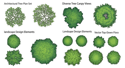 Collection of architectural tree plan sets and diverse canopy views, including landscape design elements and vector top-down flora illustrations.