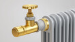 © MyDigitalCraft - Golden valve on white radiator in realistic style in gold, white, and gray