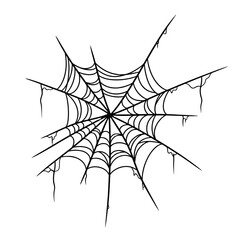 spider web vector