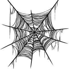 spider web with dew
