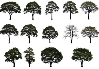 Collection of tree silhouettes isolated on white background for design use