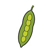 © Anupam - Moringa Pod Vector Art