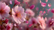 © Nawab stock - Falling Pink Petals and Flowers Soft Focus Abstract Background
