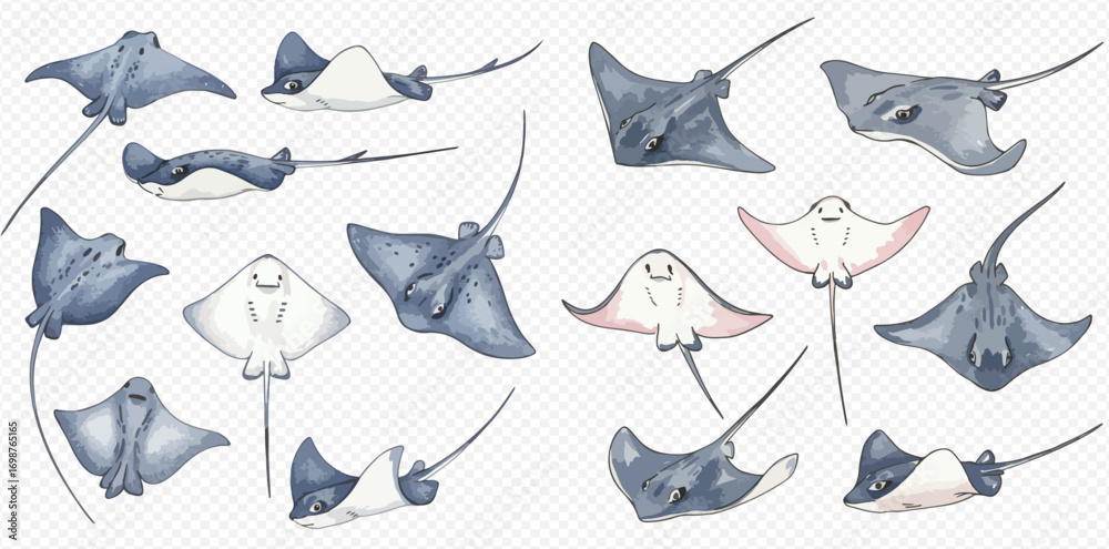 String Raytrue Color Watercolor illustration featuring a collection of various stingray ...