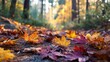 © Harry - Vibrant autumn forest path carpeted with fallen leaves glowing in warm golden sunlight, evoking serene nature beauty