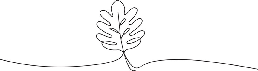 Monstera Leaf continuous one continuous line art, Vector illustration, One line art, Line art graphic style.