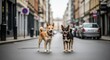 © Lavanya - Two happy dogs explore an urban setting, exuding charm on the city street