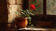 © Sum - Red rose in terracotta pot by window