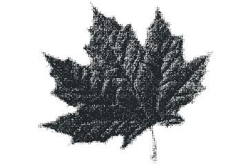Wall Mural - Black Maple Leaf Shape Halftone Effect Transparent. Vector hand drawn illustration