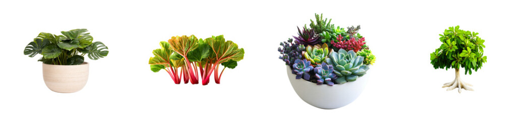 Collection of potted plants and produce on transparent background, cut out