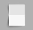 © dlyastokiv - Bent paper with shadow mockup isolated on gray background