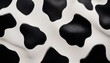 © Aidan - bold black and white cow print seamless pattern farm animal skin texture background