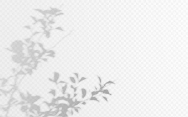 Wall Mural - shadow overlay from a plant branch isolated on a transparent background.