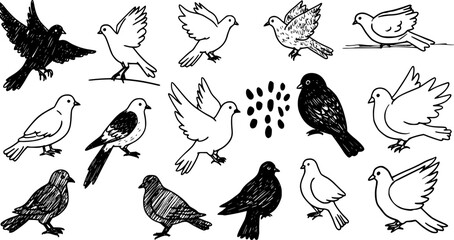 Abstract crayon drawn birds and doves collection. Hand drawn vector black ink illustration. Simple naive style. Modern trendy Matisse minimal style with rough texture. Childish scribbles.