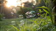 © Dahlia - Bubbles drifting in a sunlit meadow soap bubble floating