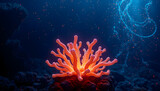 A diver observes a colorful red sea anemone in a vibrant tropical coral reef